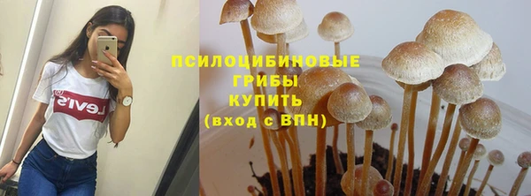 скорость Баксан