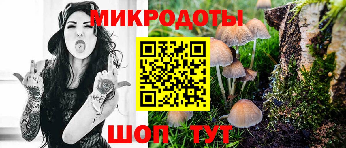 Галлюциногенные грибы Cubensis Каспийск