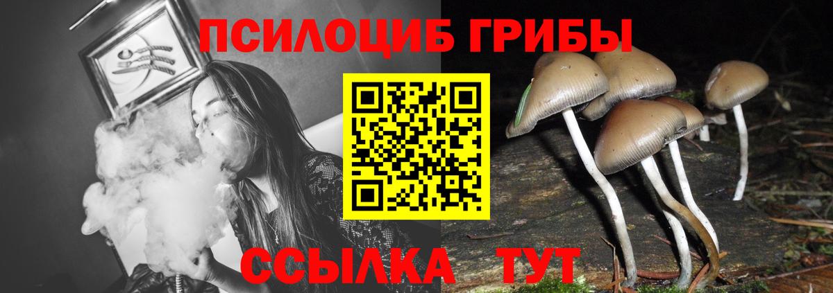 Псилоцибиновые грибы прущие грибы  Вход с VPN  Каспийск 
